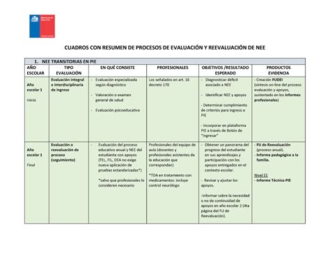 Cuadros Evaluacion Nee 082022 1 Cuadros Con Resumen De Procesos De EvaluaciÓn Y ReevaluaciÓn