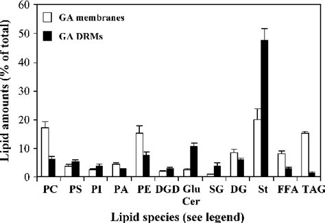 Figure From Insights Into The Role Of Specific Lipids In The