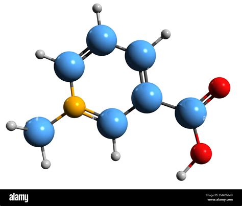 3d Image Of Trigonelline Skeletal Formula Molecular Chemical