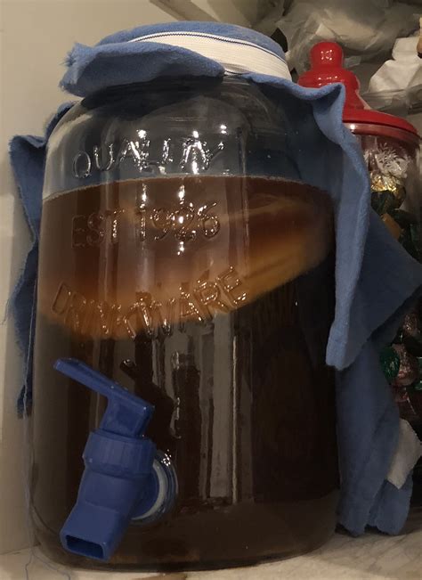 Kombucha fermenting - Elite Nutrition and Performance