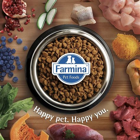 Farmina Canine Meals: Premium Vitamin for Your Canine Companion - Monitor