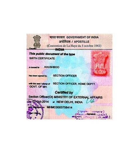 Birth Certificate Apostille Service At Rs 1000 Certificate In Noida