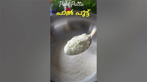 പഞ്ഞി പോലെ പാൽ പുട്ട് Paal Puttu Recipe Variety Puttu Recipe Malayalam Carrot Puttu Recipe