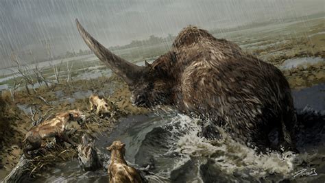 Prehistoric Mammals Elasmotherium by Balcsika on DeviantArt