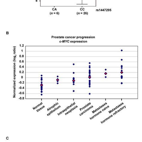 Analysis Of C Myc Expression In Normal And Prostate Cancer Tissues A