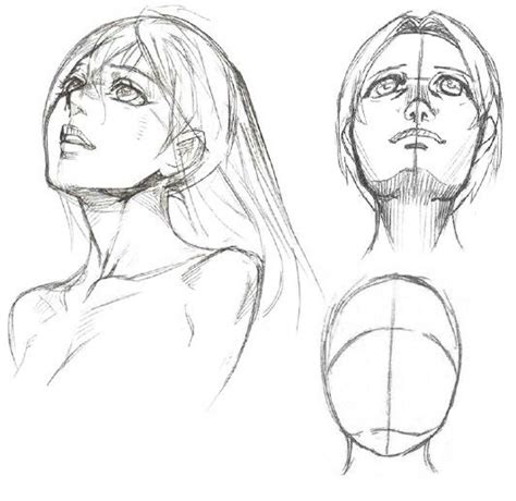 Perspectiva De Rostro Anime Tutoriales De Anime Rostro De Mujer