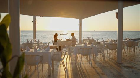 Gallery - Club viva