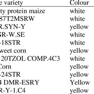 The different maize varieties | Download Table