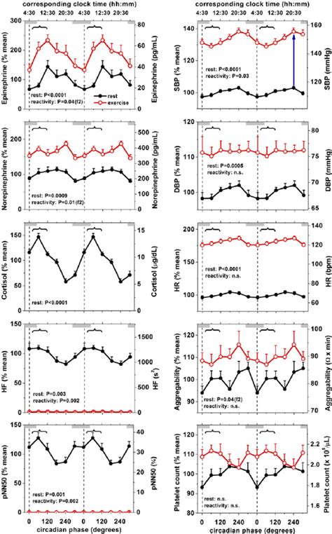 Circadian Rhythm In Cardiovascular Function At Rest And During