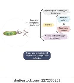 Best E Coli Symptoms Royalty-Free Images, Stock Photos & Pictures ...