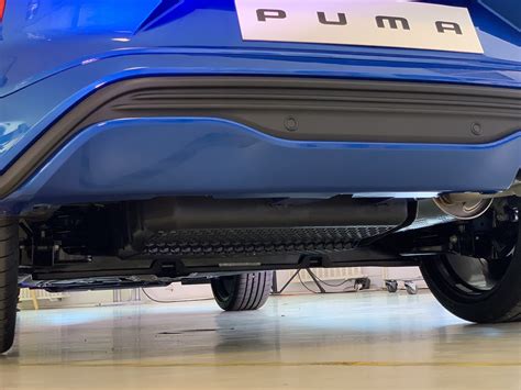 Ford Celebrates International Dog Day With Help From Pumas Megabox