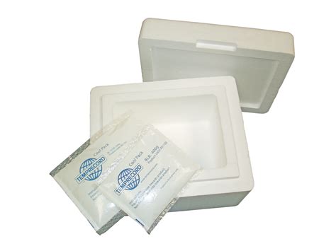 Cold Chain Transport Cold Chain Ice Packs Temprecord International