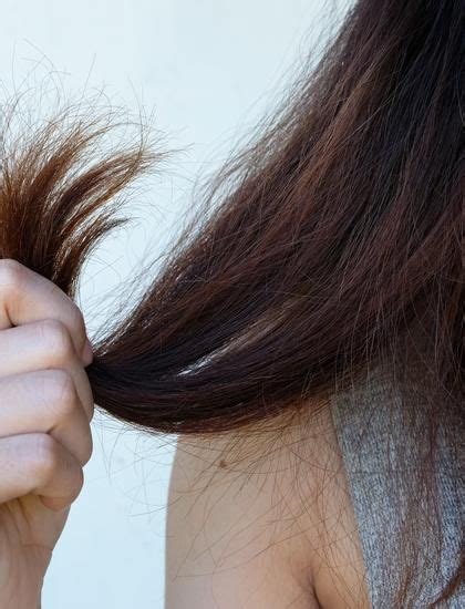 Cheveux fourchus halte aux idées reçues Cheveux fourchus Cheveux