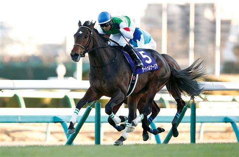 ロードカナロア 種牡馬・産駒 社台スタリオンステーション