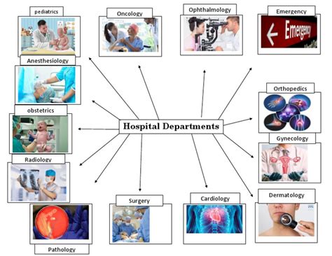 HOSPITAL DEPARTMENTS | PDF