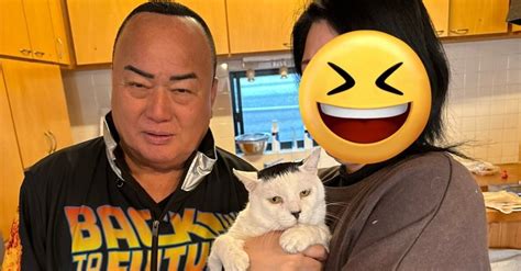 【奇跡のご対面】細川たかし師匠に激似の猫ちゃん、なんとご本人が家にやって来てビックリしてしまう｜cat Press（キャットプレス）