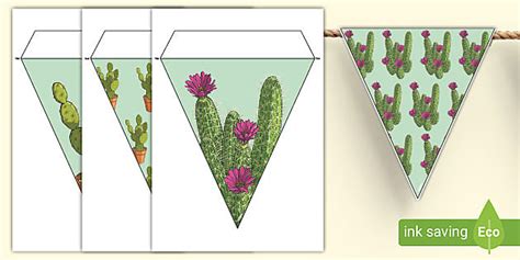 Cactus Succulent Bunting Display Resource Teacher Made