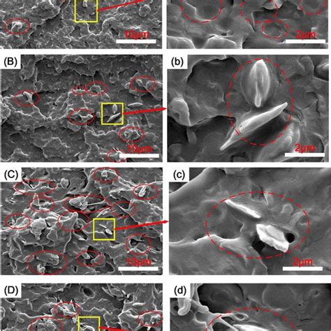 Sem Micrographs Of The Impact Fractured Surface Of Pla Emagma Zrp