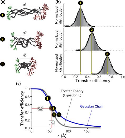 Overview Of Single Molecule Fret Experiment And Data A Schematic