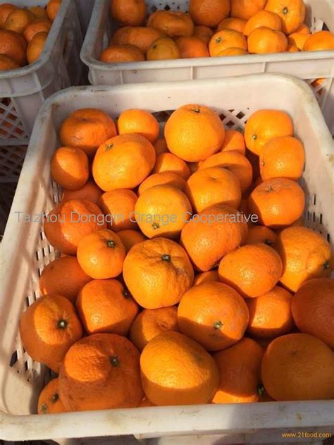 China Sanmen Seedless Mandarin Orange Export Productschina China