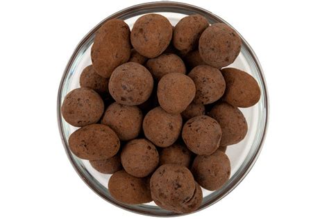 Dark Chocolate-Covered Nuts – MOUTH