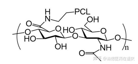 Pcl－ha透明质酸 聚己内酯；ha 分子结构中具有多个修饰位点，利用其可修饰性设计了多种ha 纳米递药系统用于肿瘤的治疗 知乎