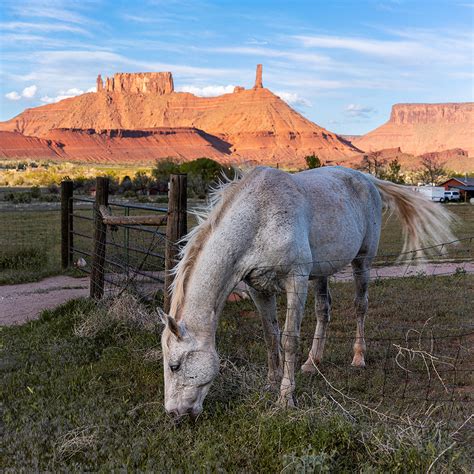 Chris Cook Photography Ap Global