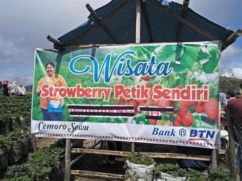 Carta Del Restaurante Lesehan Bakso Penthol Dan Wisata Stawberry Sarangan