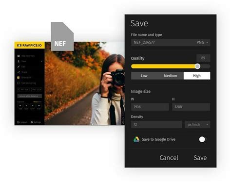 Convert NEF to JPG online with Raw.pics.io NEF free converter and viewer
