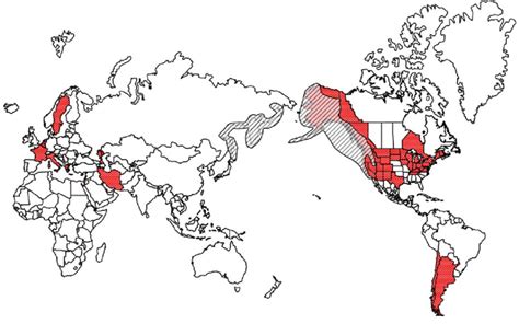 Native Distribution Of Coho Salmon Oncorhynchus Kisutch Black