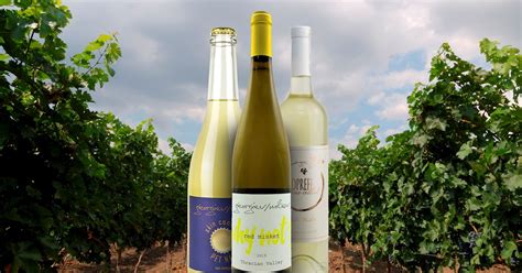 Misket Cherven | Local Wine Variety From Bulgaria, Southeastern Europe