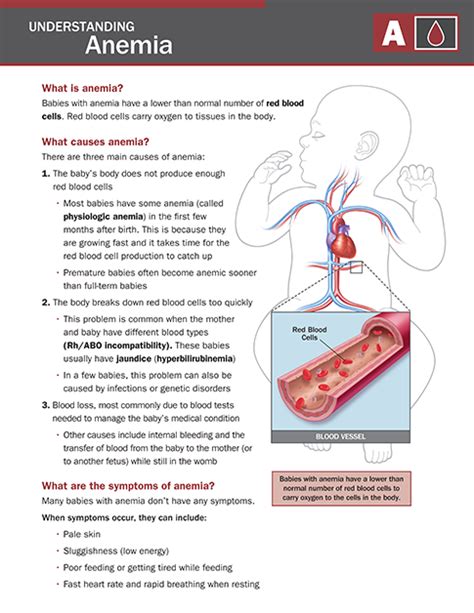 What Is Normal Newborn Hemoglobin - Peter Brown Bruidstaart