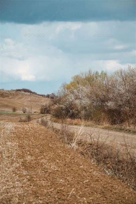 Countryside, fields and paths, peaceful scenery Stock Photo by ...