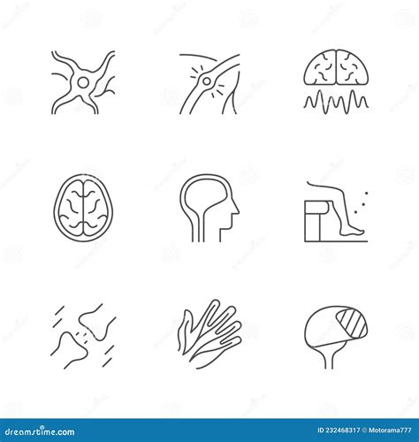 Synapse Vector Illustration Labeled Diagram With Neuromuscular Example