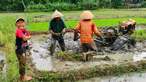 Traktor Tua Terjebak Di Lumpur Dalam Dua Joki Traktor Sawah Lemas