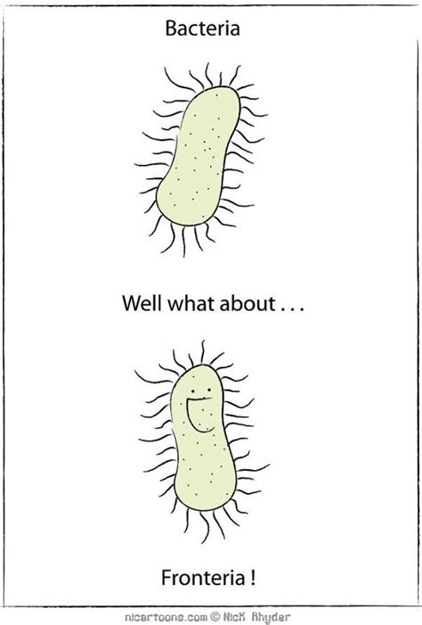 Funny Bacteria Jokes