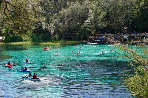 Visiting Floridas Natural Springs In Crystal River Homosassa And Rainbow Springs Freedom