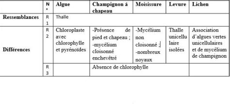 Exercice Svt Me Appareil V G Tatif Des Plantes Sans Fleurs