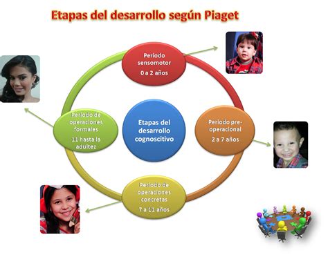 Teoria Del Desarrollo Cognitivo De Piaget Etapas En El Desarrollo