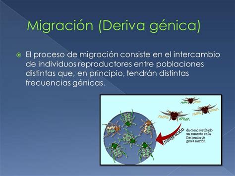 Flujo De Genes Definición Y Ejemplos ¡¡resumen FÁcil