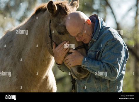 Senior Aged Man With Old Horse Stock Photo Alamy