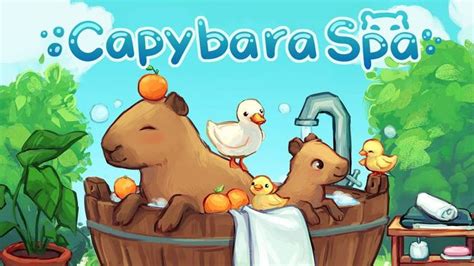 Capybara Spa Furniture Guide