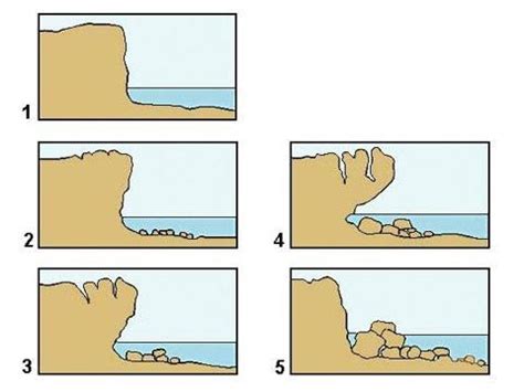 Biologia E Geologia Zonas Costeiras