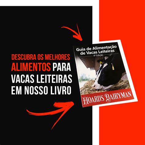 Livro Guia De Alimenta O De Vacas Leiteiras Dr Mike Hutjens