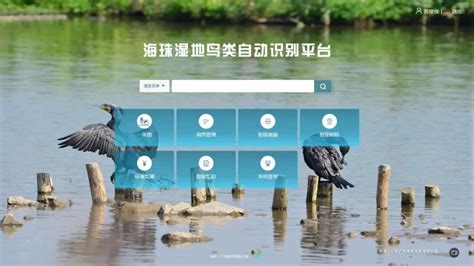 智慧湿地 犀利！ai赋能，解锁鸟类生态监测新视界！ 广东广州海珠国家湿地公园 湿地保护