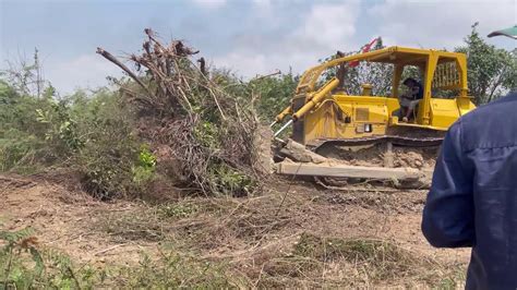 Forestry Clearing Bulldozer Extreme Operator Bulldozer At Work YouTube