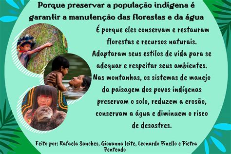 O garimpo como ameaça à vida reflexões sobre preservação ambiental e