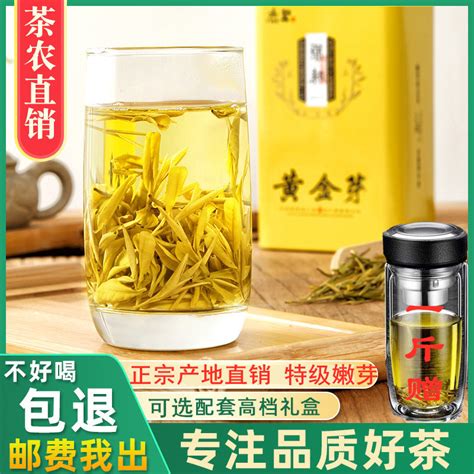 正宗黄金芽茶叶2023年新茶安吉春茶特级白茶绿茶250g礼盒装黄金茶虎窝淘