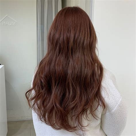 Pin By 하움 On Color Chestnut Hair Color Brown Hair Inspo Korean Hair Color