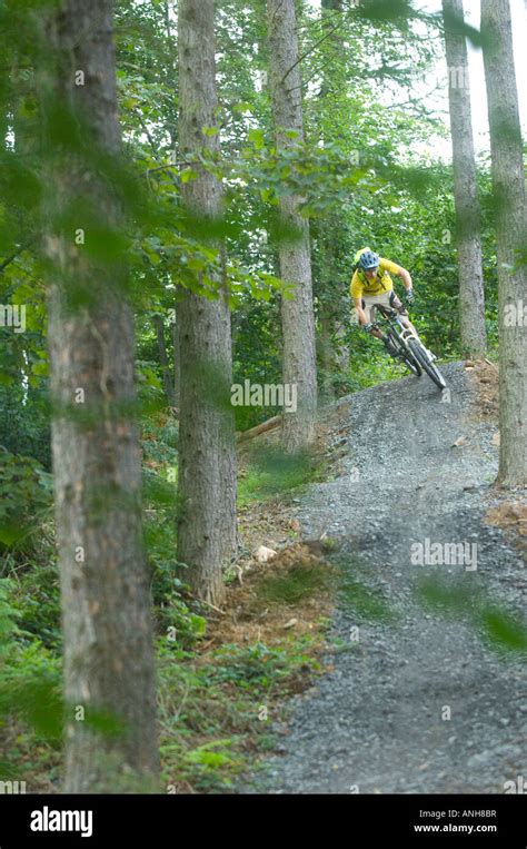 Mountain Bikers Ride The Man Made Trails In Chopwell Woods Near